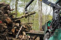 Holzhaufen und Forstmaschine
